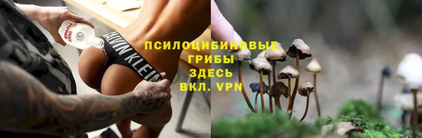 ALPHA PVP Алексин
