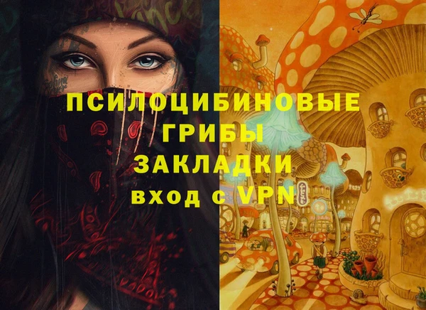 ГАЛЛЮЦИНОГЕННЫЕ ГРИБЫ Алексеевка