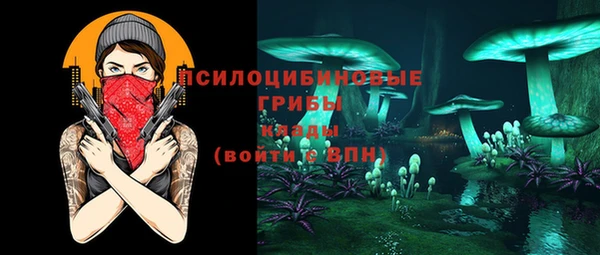 ГАЛЛЮЦИНОГЕННЫЕ ГРИБЫ Алексеевка