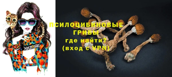 ALPHA PVP Алексин